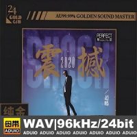 赵鹏-震撼202024K纯金头版限量编号版C918[WAV_分轨_557M]